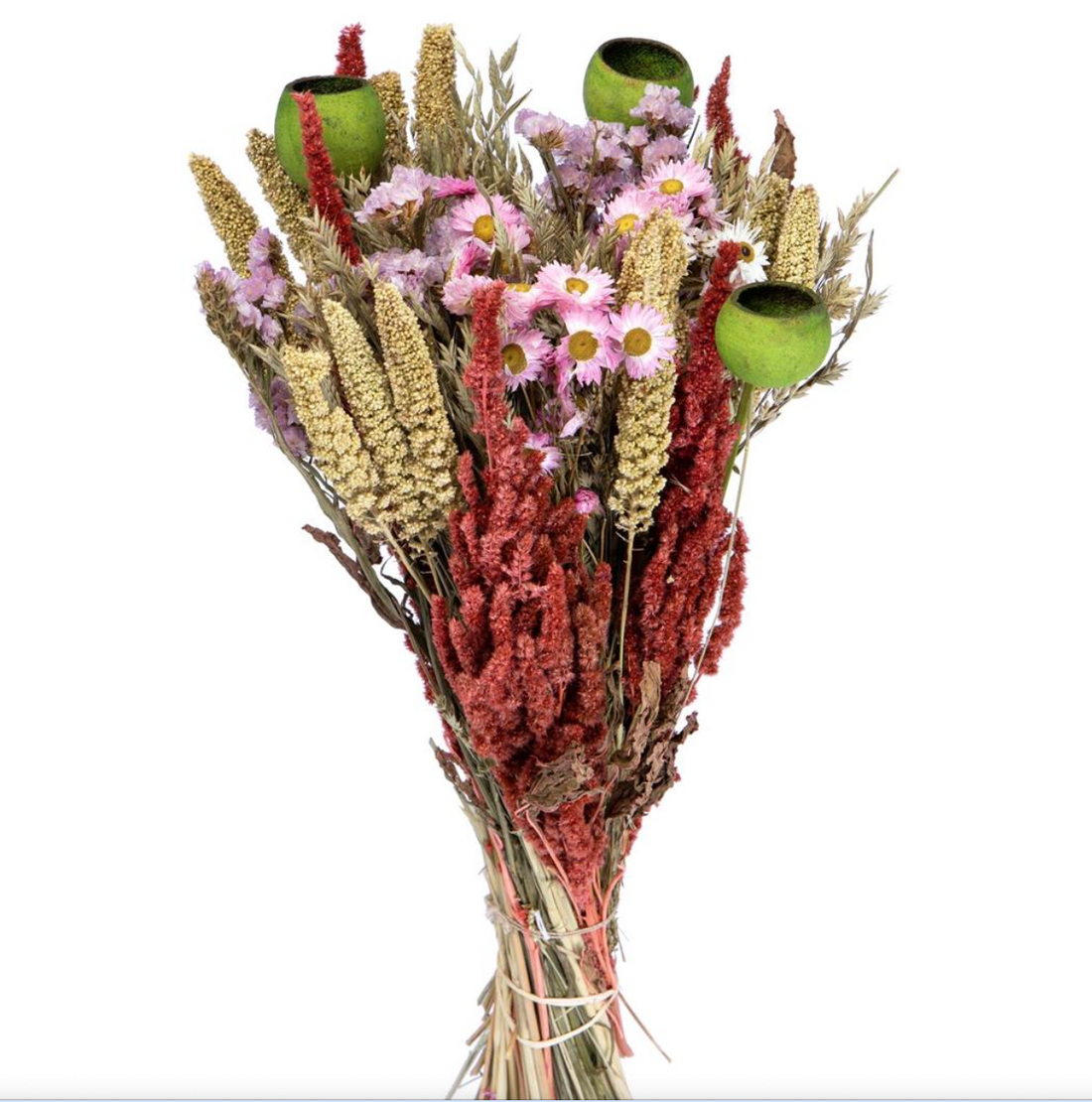 Dried Colorful Bouquet with Green Pods Size L