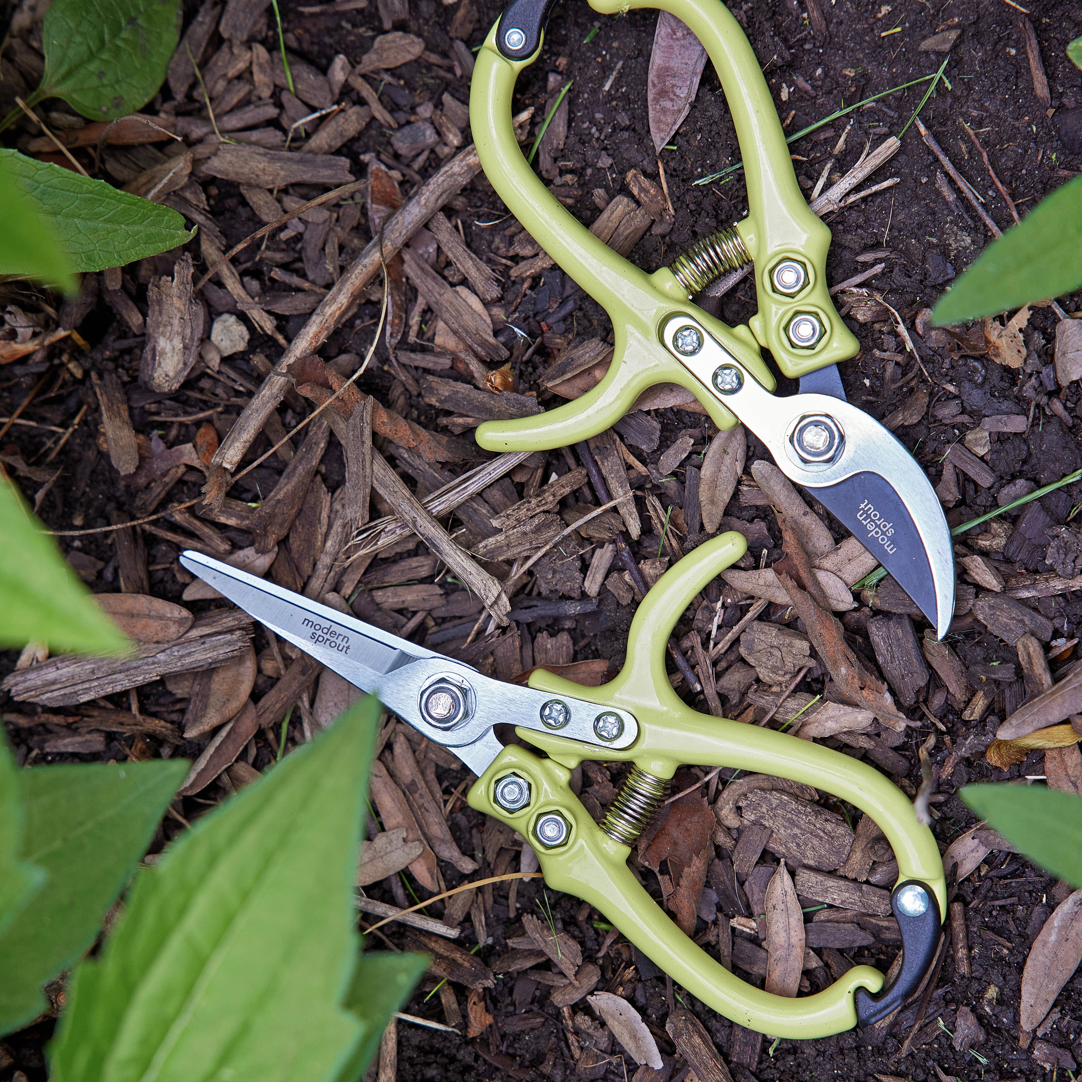 Chartreuse Floral Shears