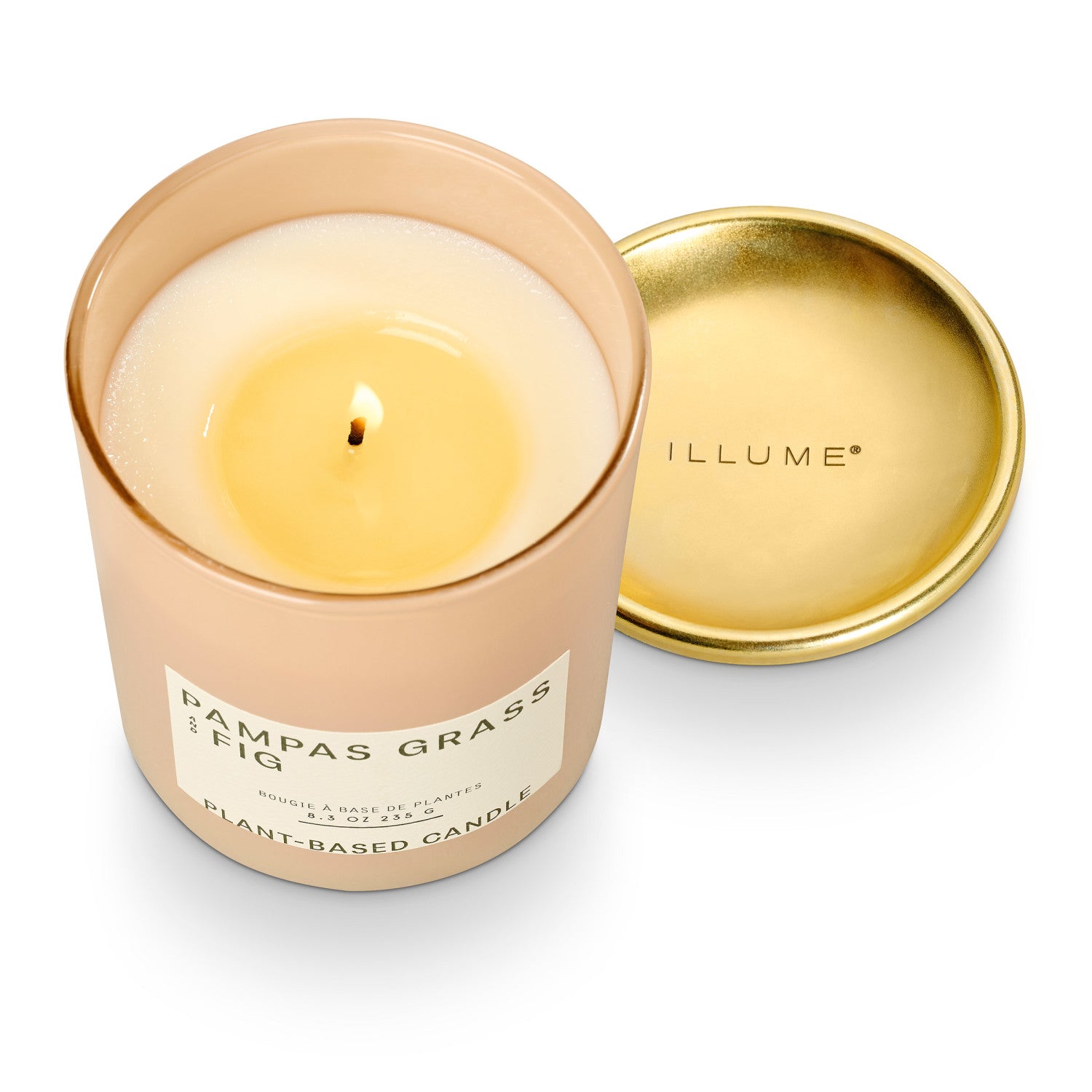 Pampas Grass & Fig Lidded Jar Candle