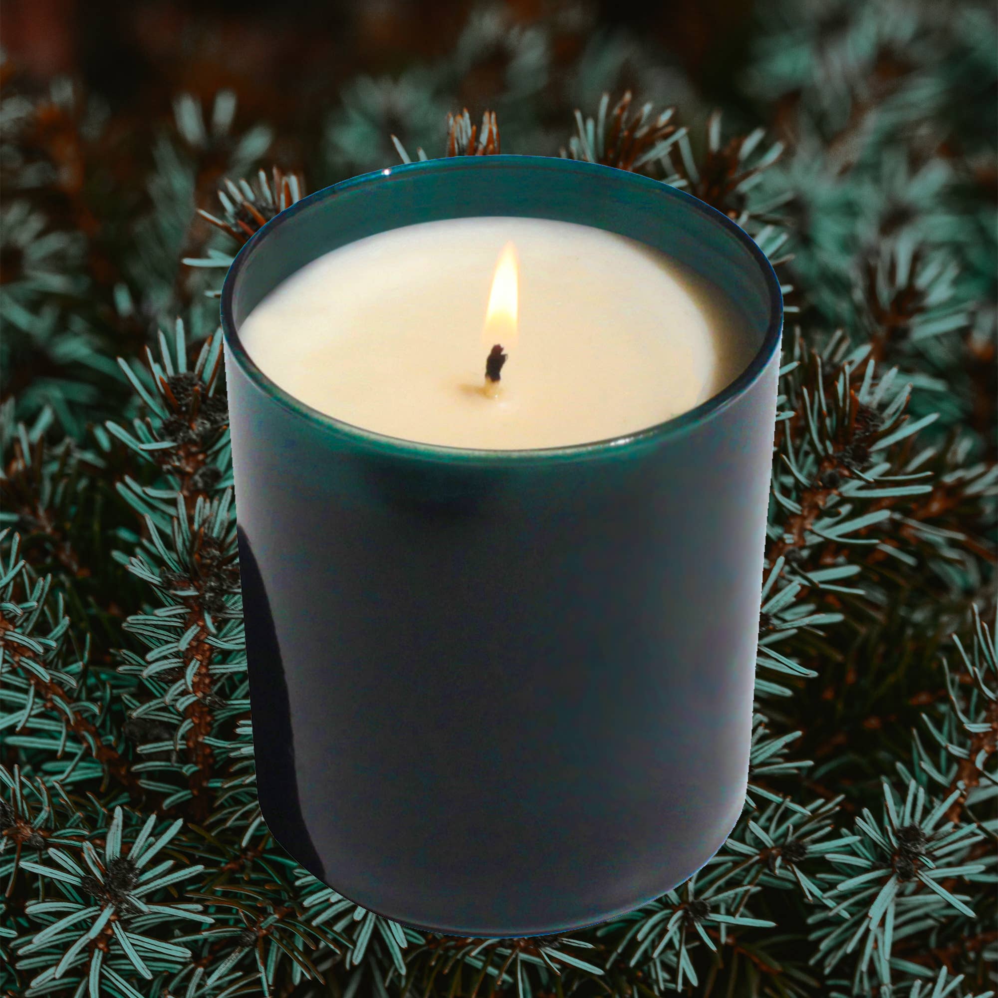Solstice 9 oz. Hue Candle (Nordic Pine)