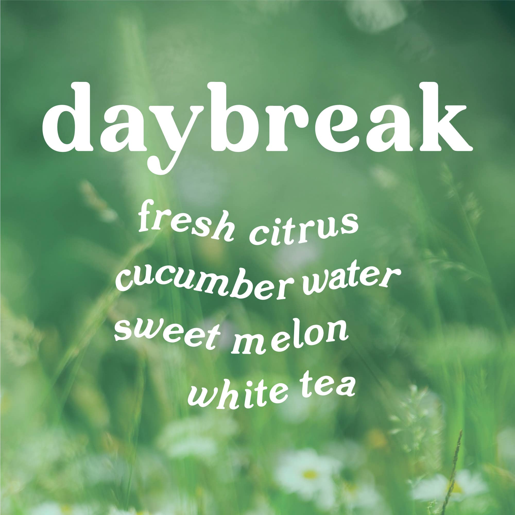 Daybreak 9 oz. Hue Candle (Lemon + Cucumber)