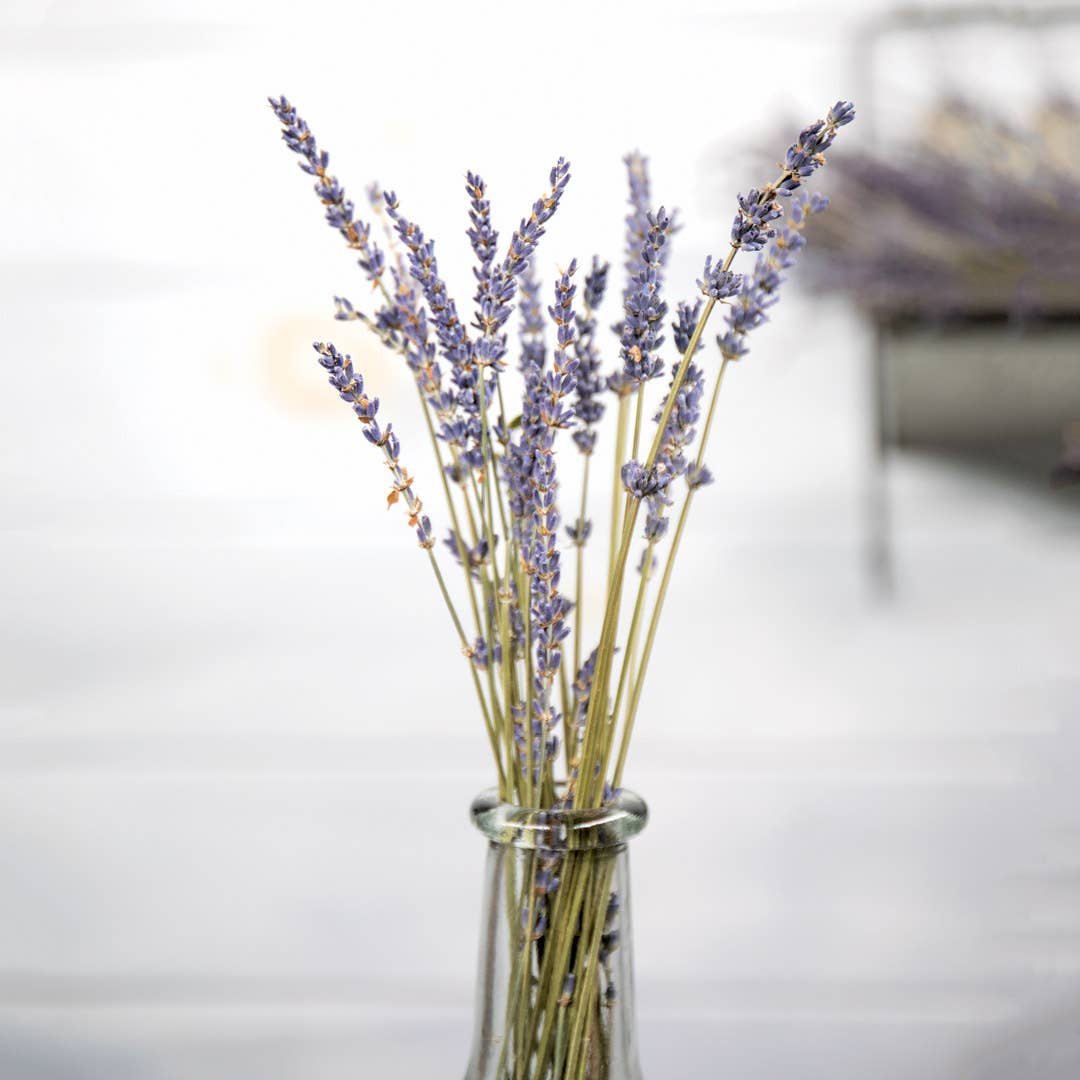 Dried Lavender Bunch
