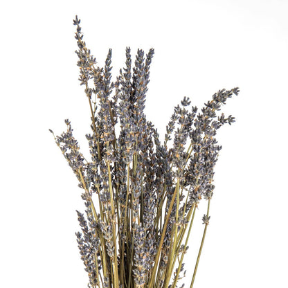 Dried Lavender Bunch