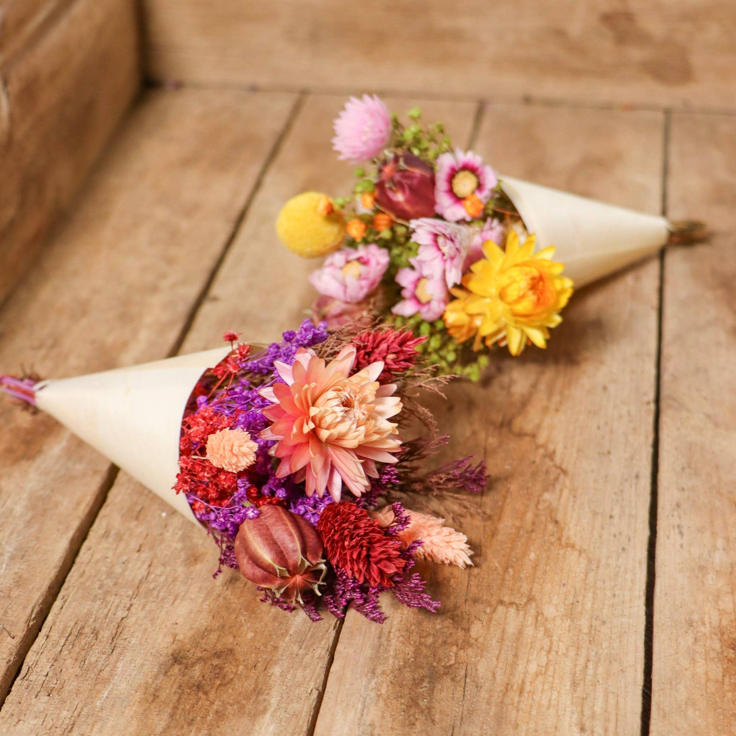 Everlasting Pixie Mini-Bouquet - Assorted