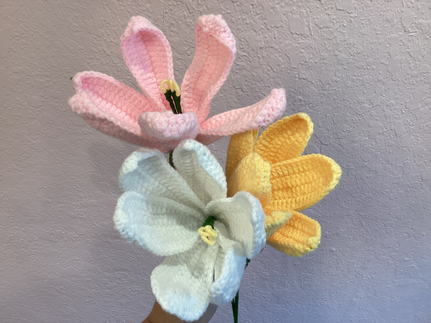 Knit Lily