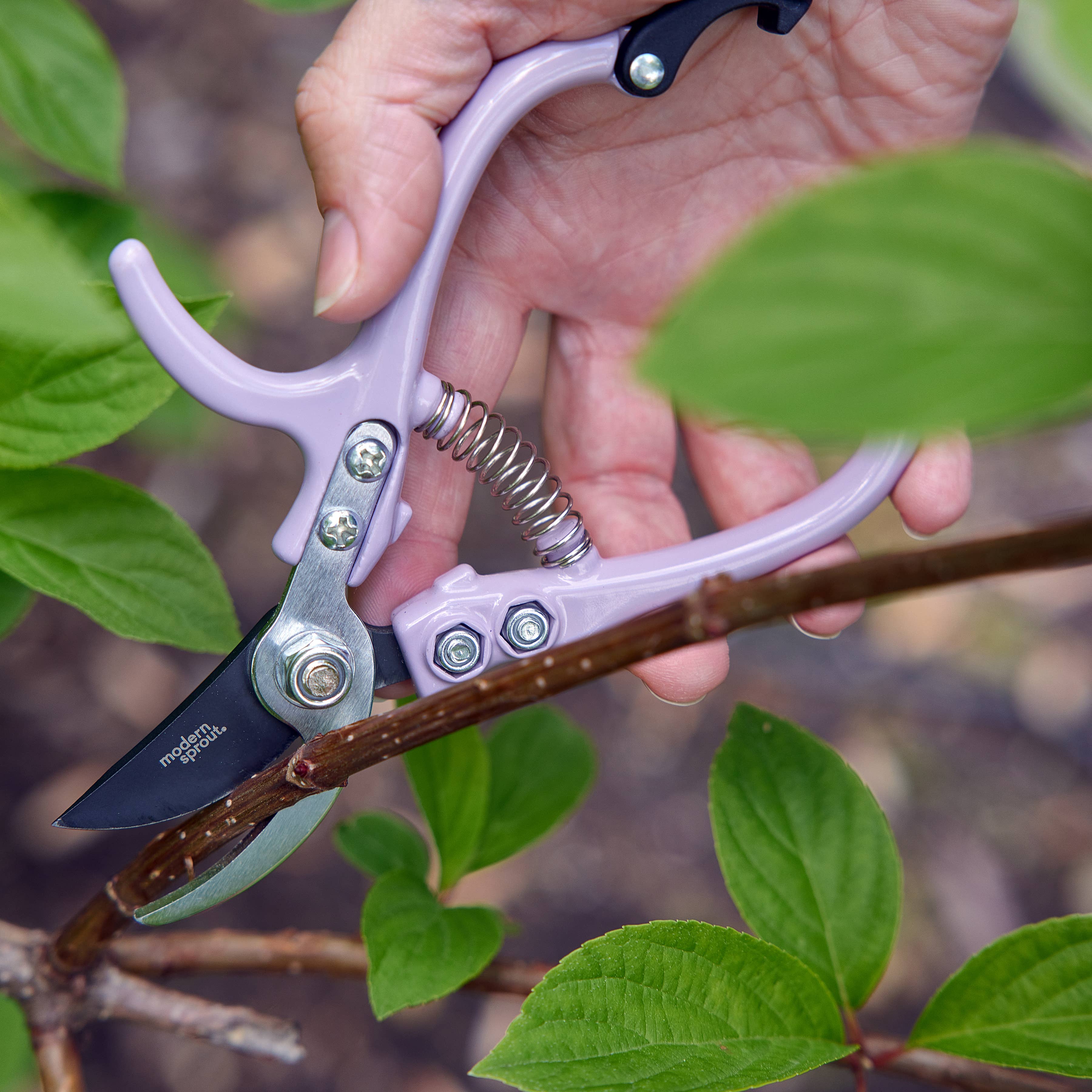 Lavender Floral Shears
