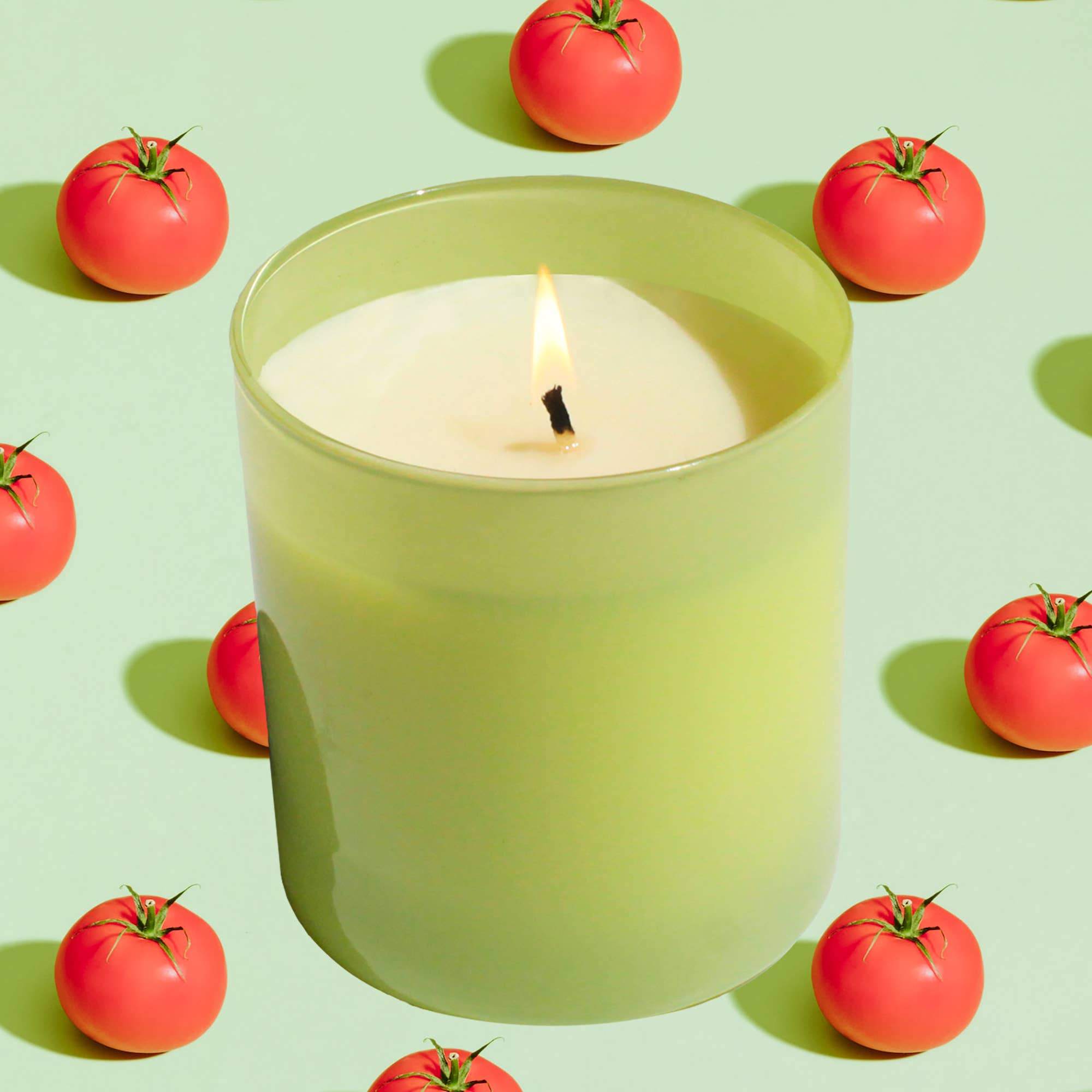 Garden 9 oz. Hue Candle (Tomato Vine)