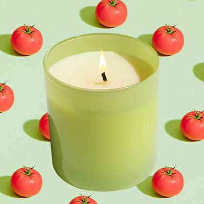 Garden 9 oz. Hue Candle (Tomato Vine)