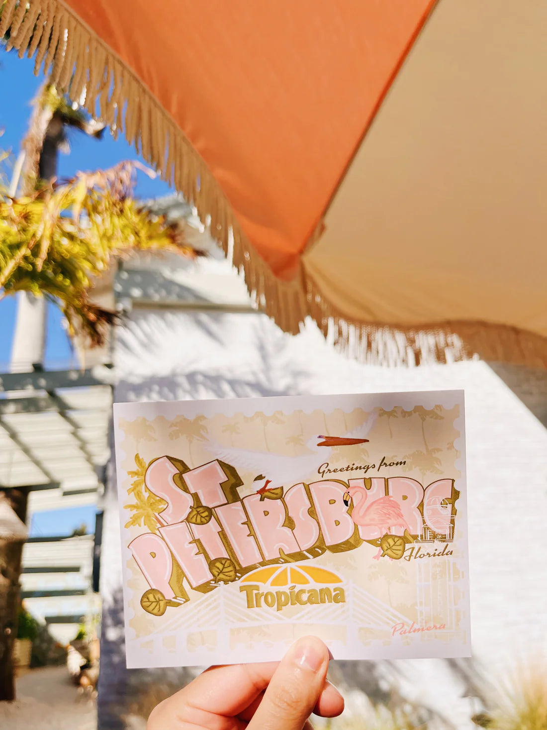 Greetings from St Pete Postcard
