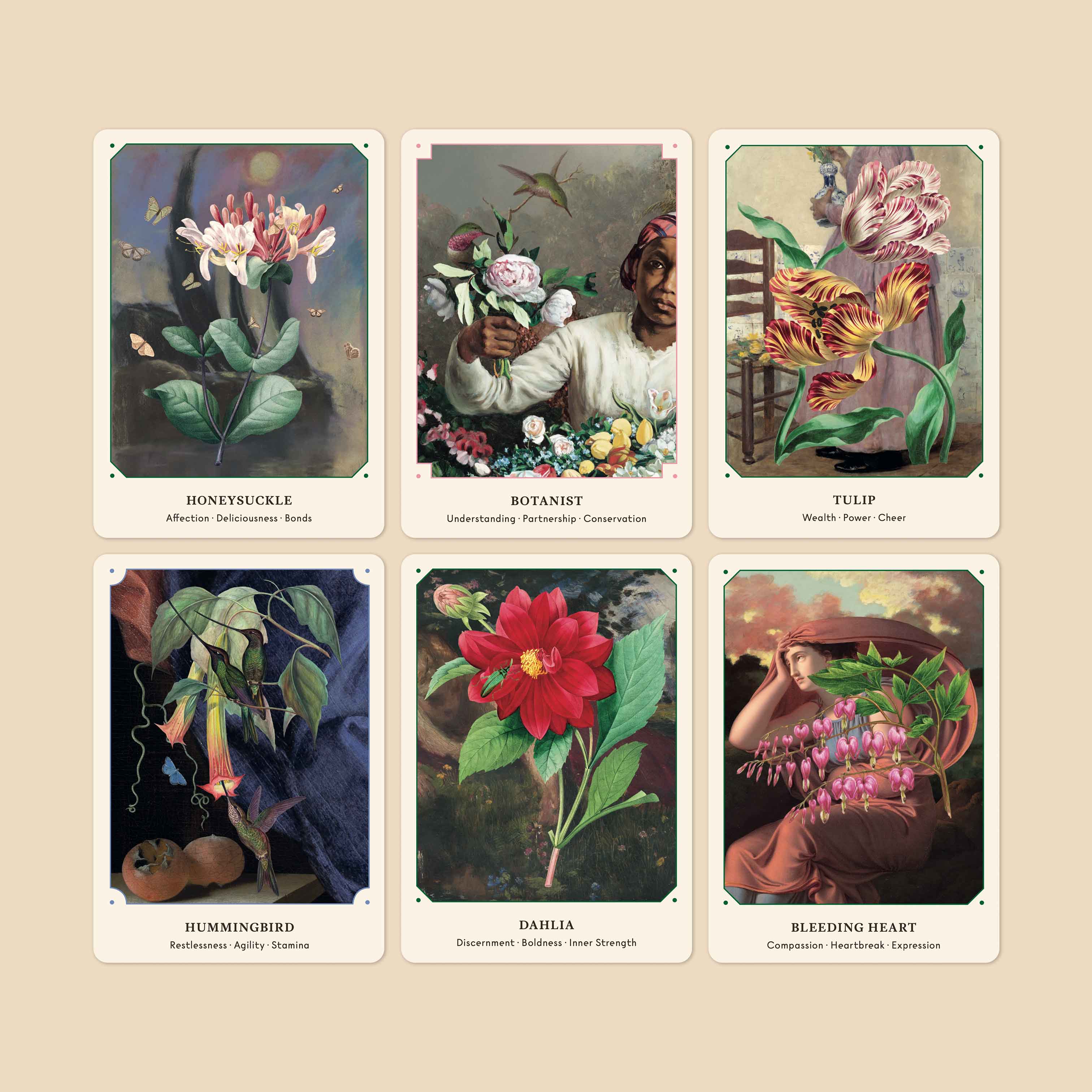 The Flower Oracle Card Deck