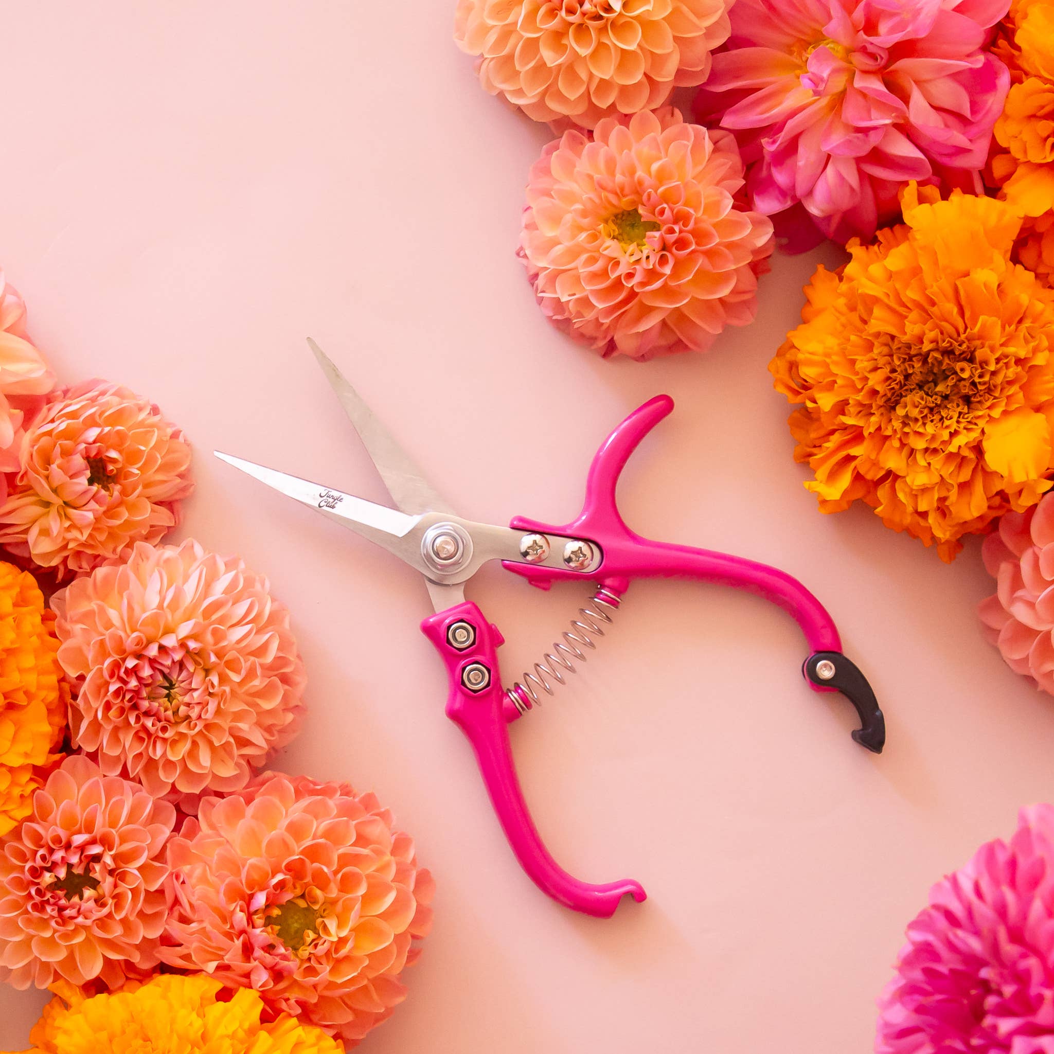 Hibiscus Floral Shears