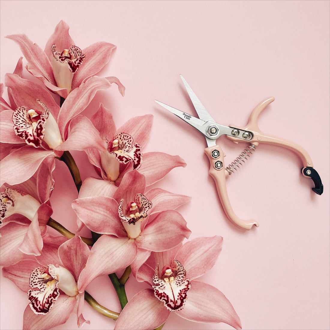 Pink Floral Shears