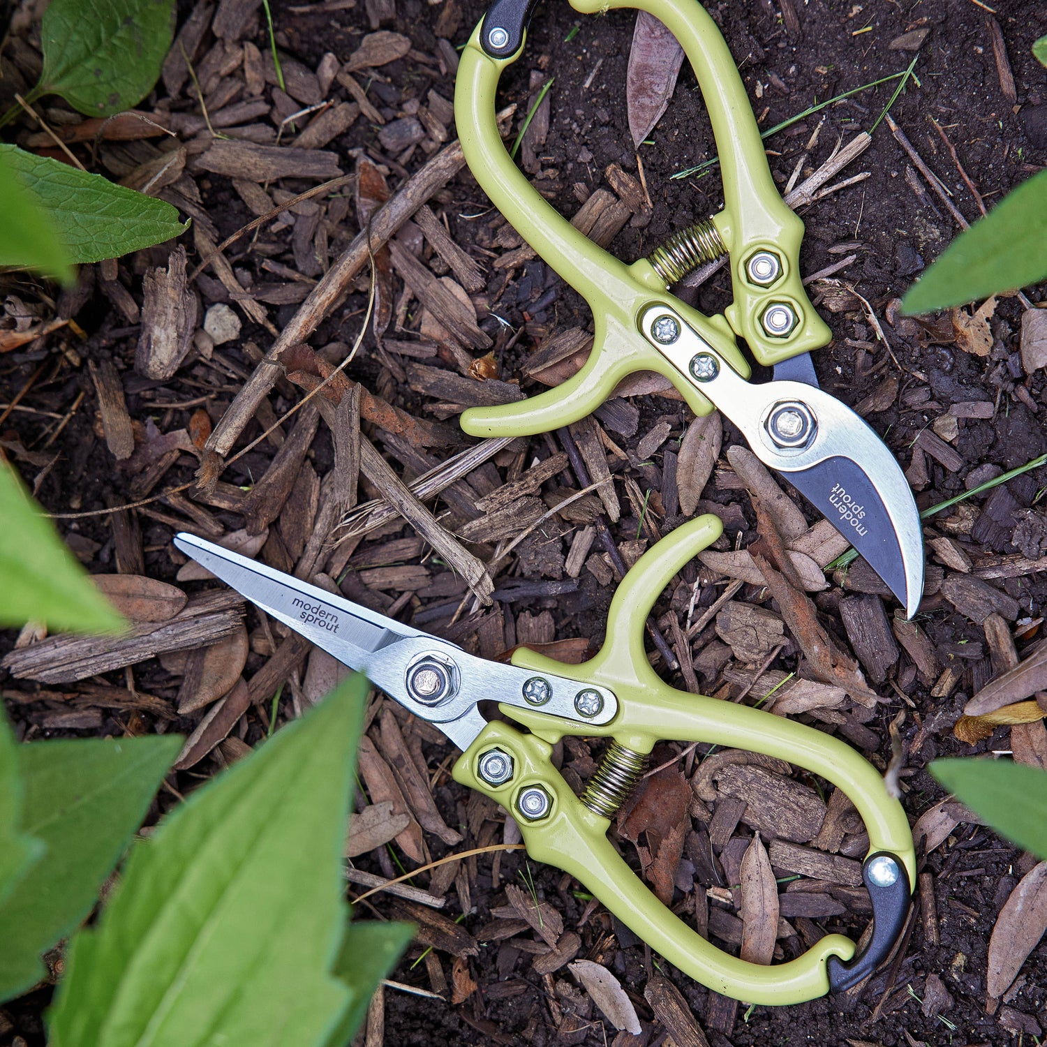 Chartreuse Floral Shears