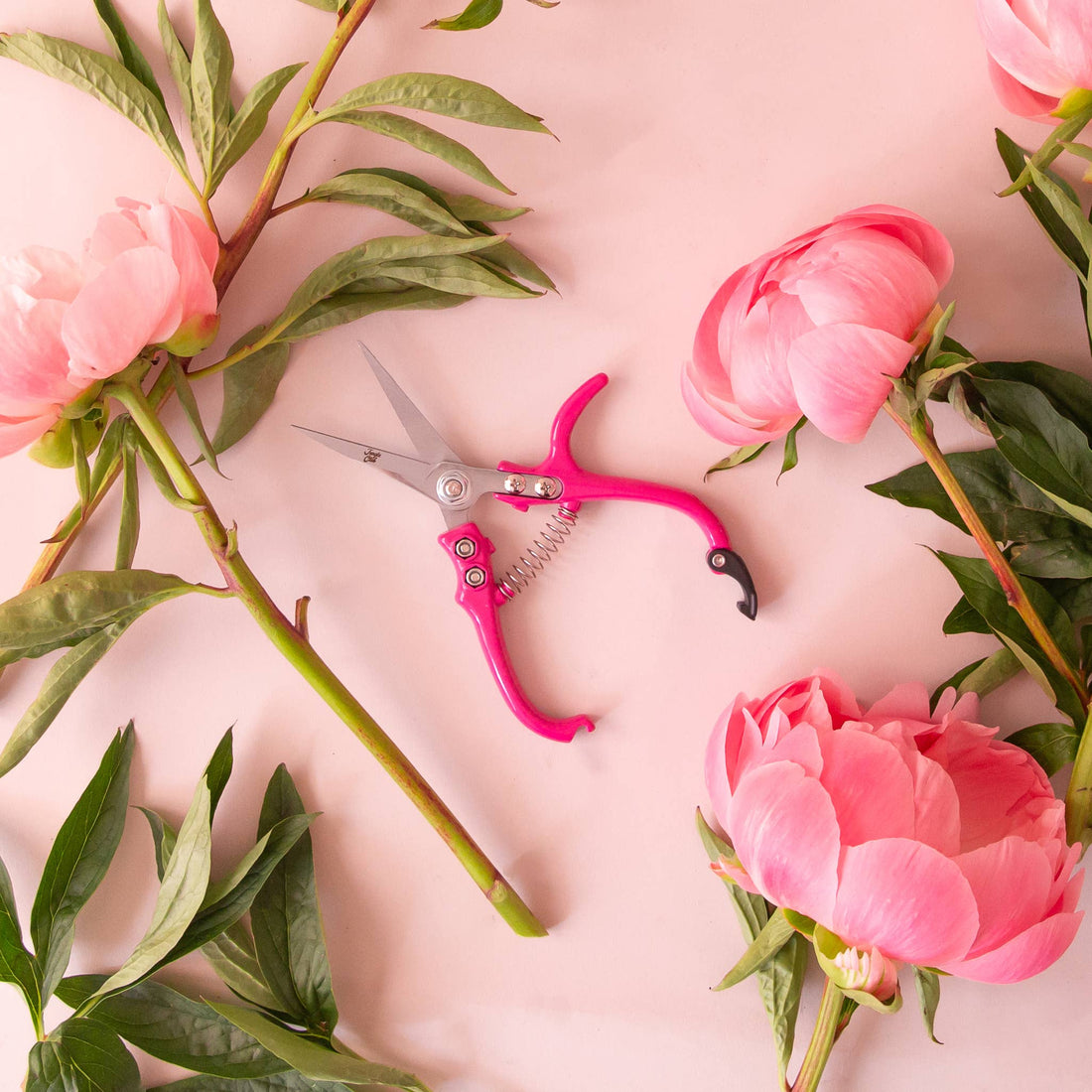 Hibiscus Floral Shears