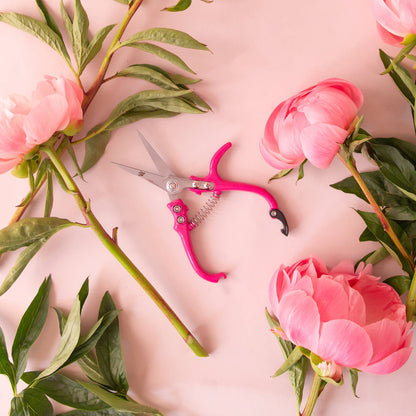 Hibiscus Floral Shears